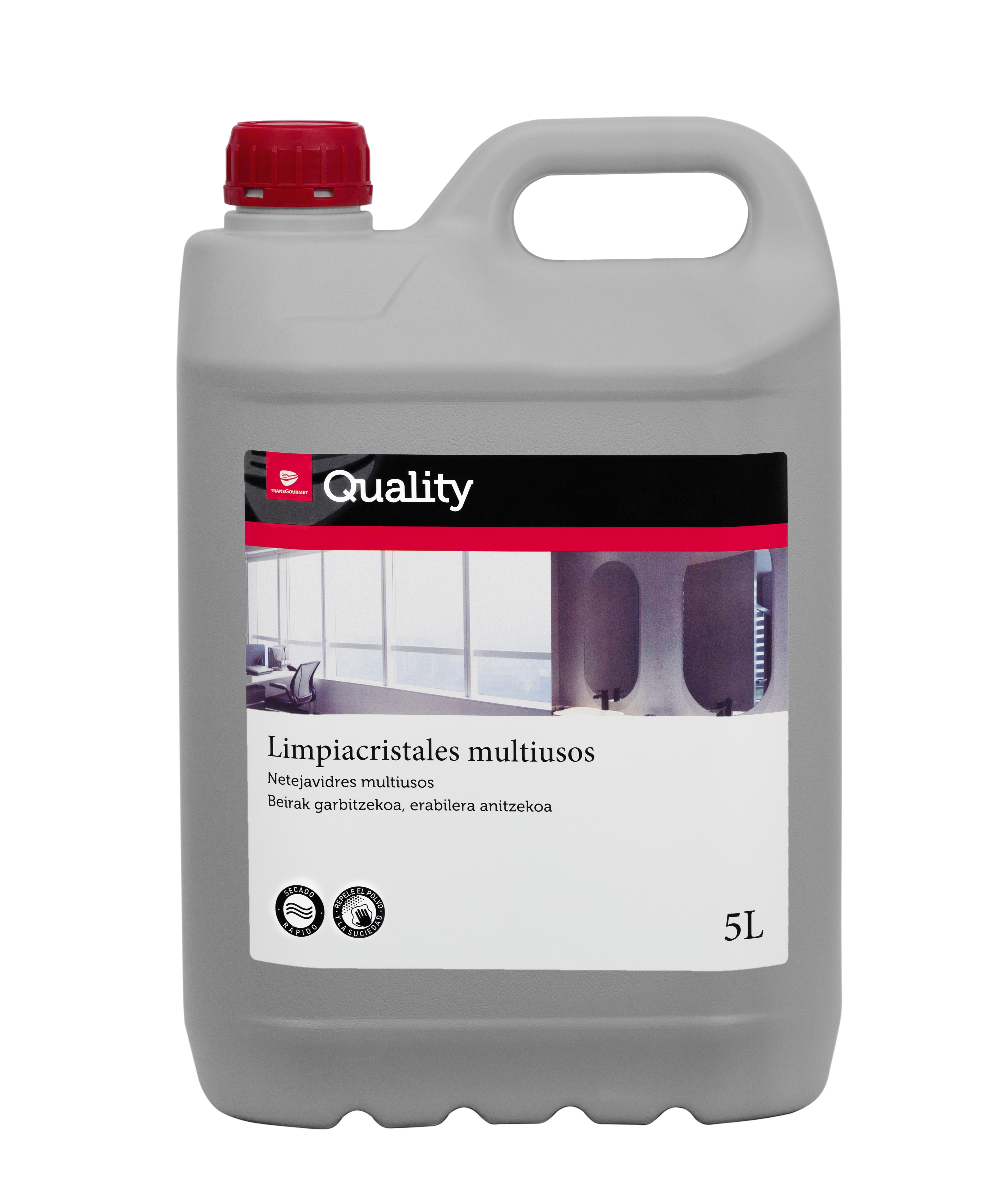 QUIGLASS LIMPIACRISTALES 5 L