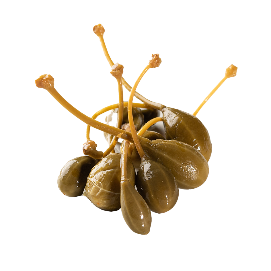 ALCAPARRONES FINOS CUBO 5 KG P.E. 2,5 KG